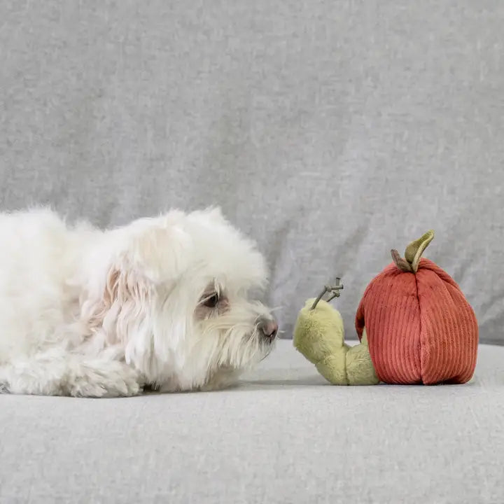 Apple Toy Set Snuffle Toy