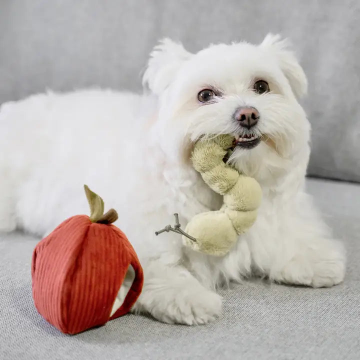 Apple Toy Set Snuffle Toy