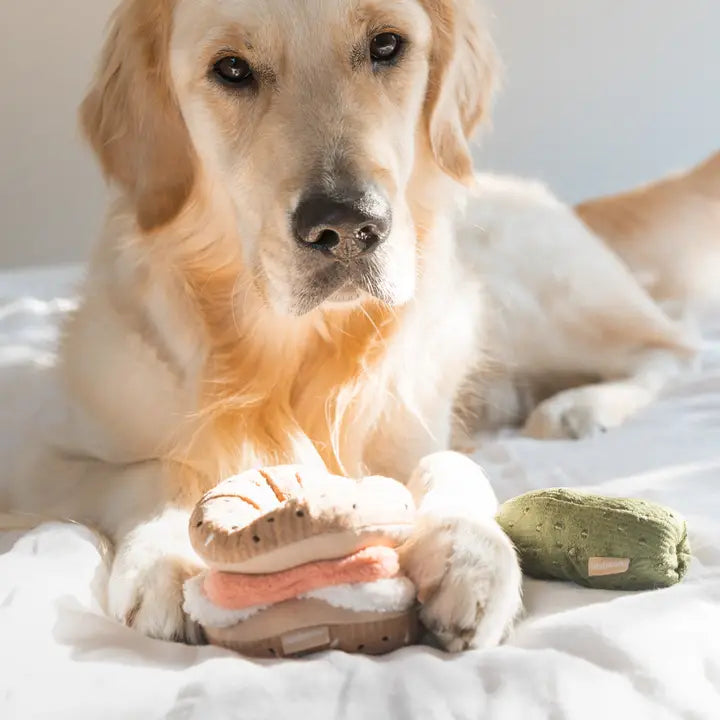 Bagel & Pickle Dog Toy