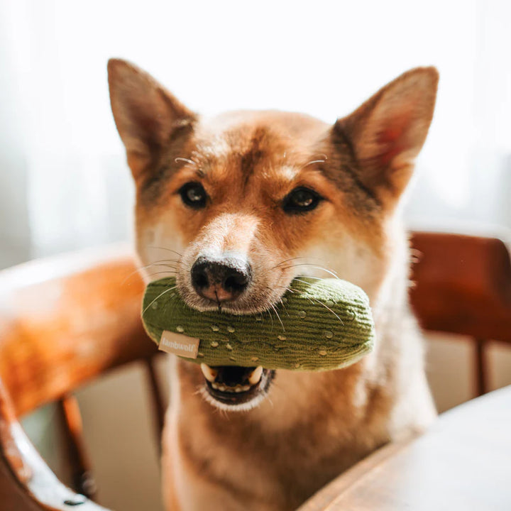 Bagel & Pickle Dog Toy