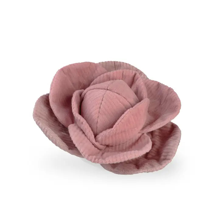 Cabbage Pop Dog Toy