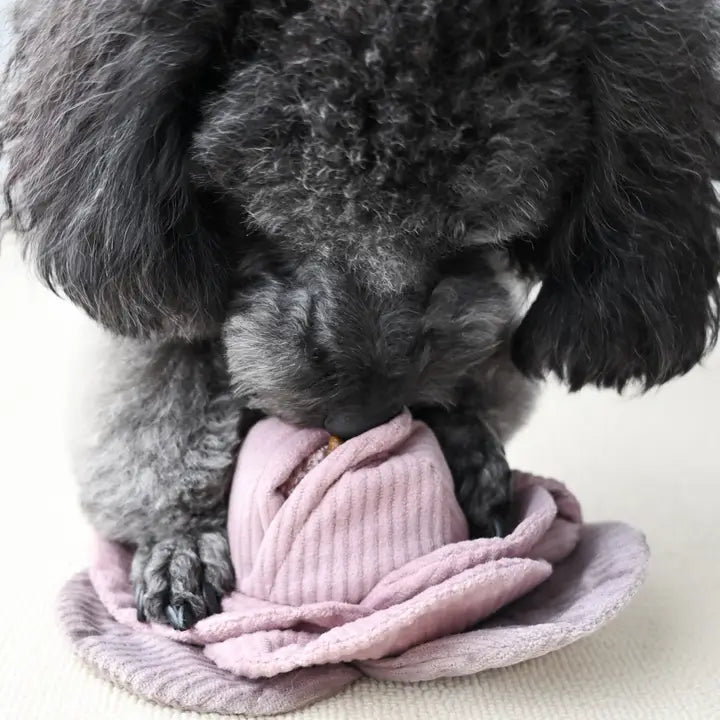 Cabbage Pop Dog Toy