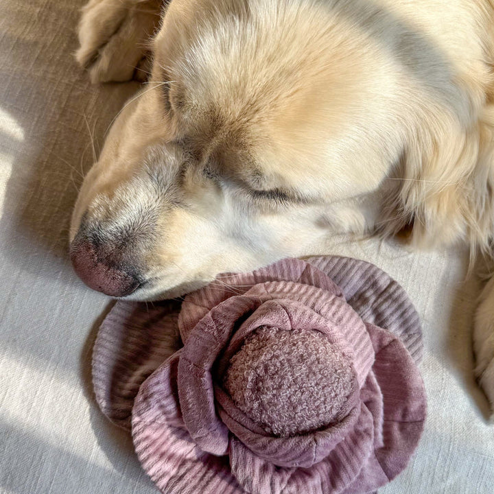 Cabbage Pop Dog Toy