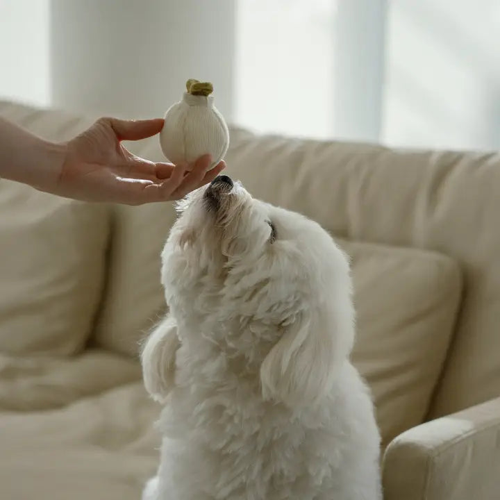 Garlic Pop Dog Toy