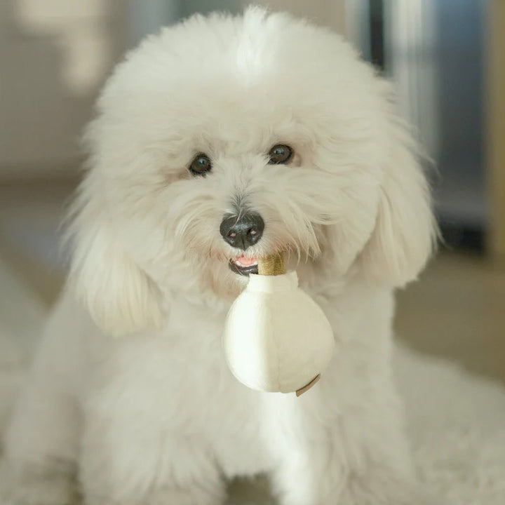 Garlic Pop Dog Toy