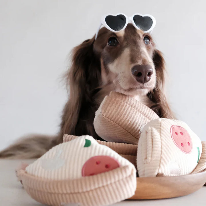 Deep Dish Pizza Dog Toy