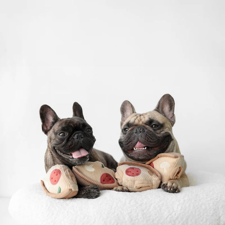 Deep Dish Pizza Dog Toy