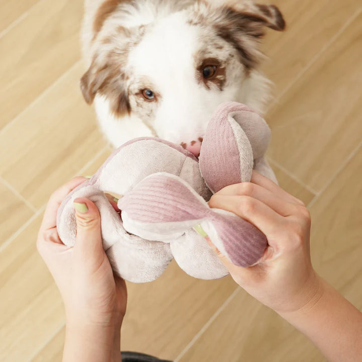 Monti Enrichment Toy Pink