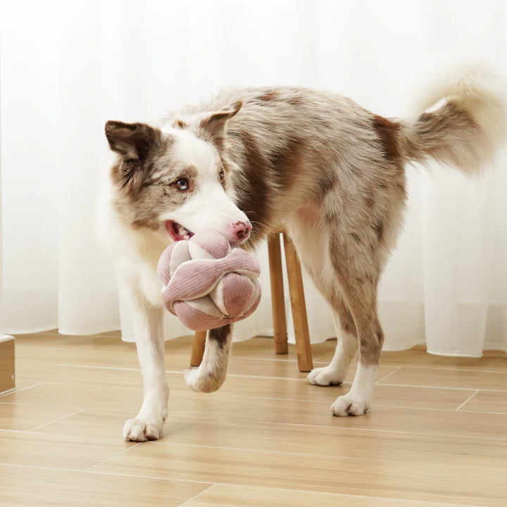 Monti Enrichment Toy Pink