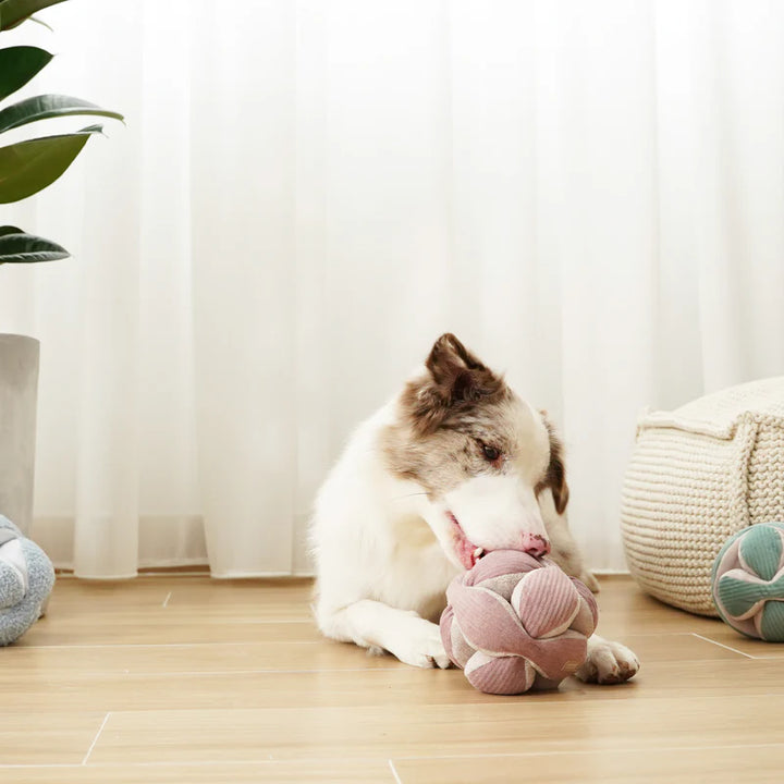 Monti Enrichment Toy Pink