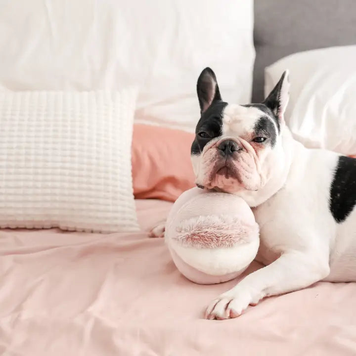 Toto Enrichment Dog Toy Pink