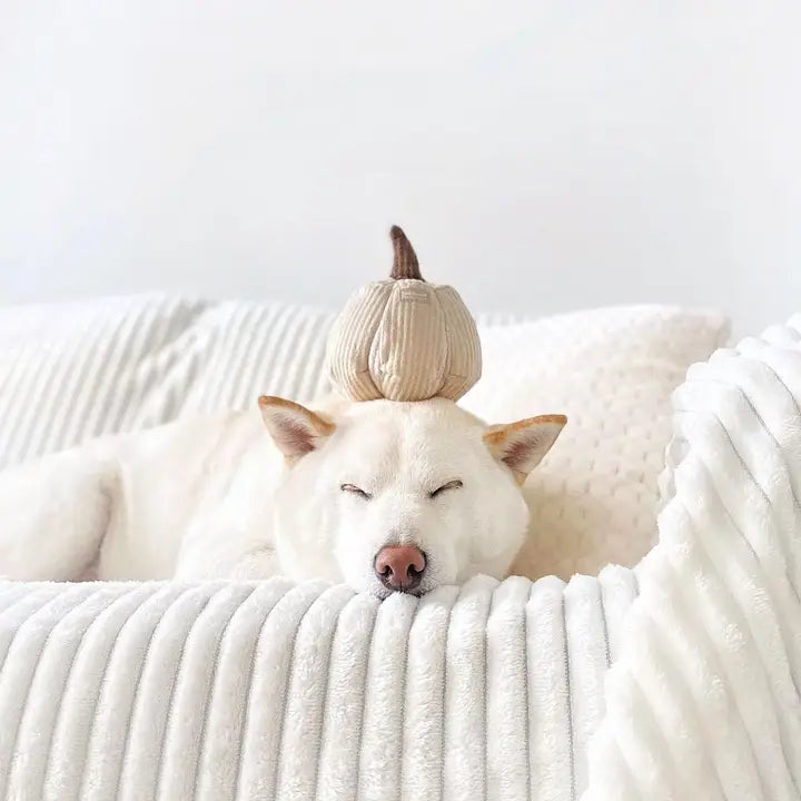Boo White Pumpkin Dog Toy
