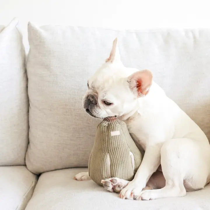 Butternut Squash Dog Toy