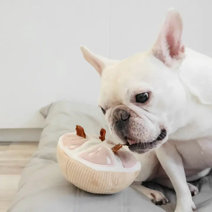 Grapefruit Set Snuffle Toy