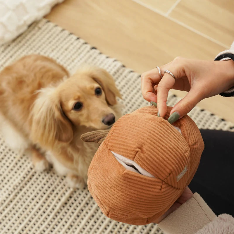 Pumpkin Halloween Dog Toy
