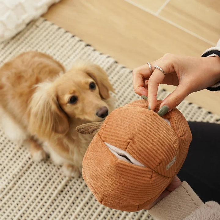Pumpkin Halloween Dog Toy