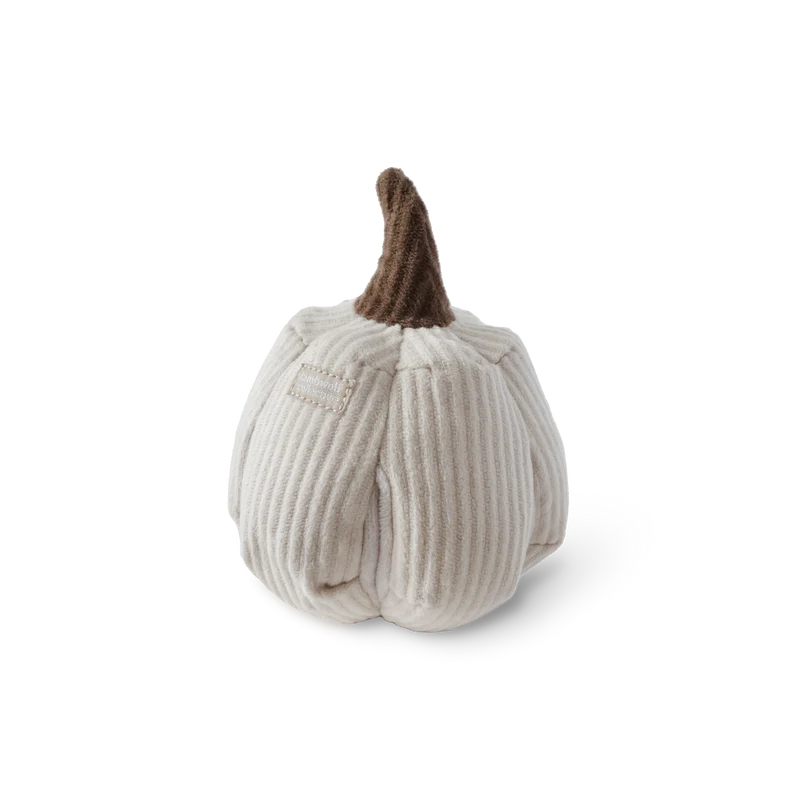 Boo White Pumpkin Dog Toy