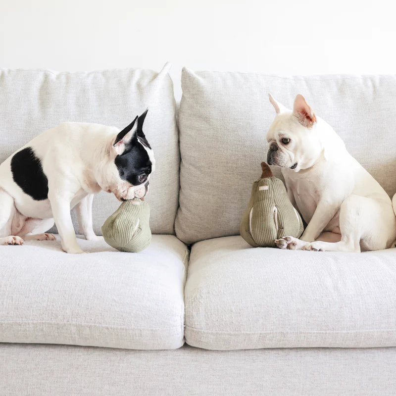 Butternut Squash Dog Toy