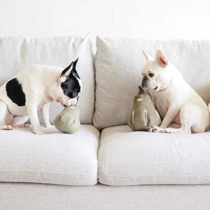 Butternut Squash Dog Toy