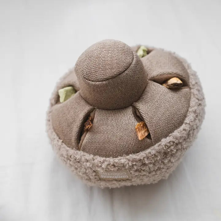 Mushroom Dog Toy