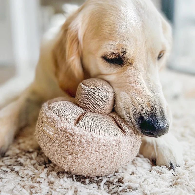 Mushroom Dog Toy