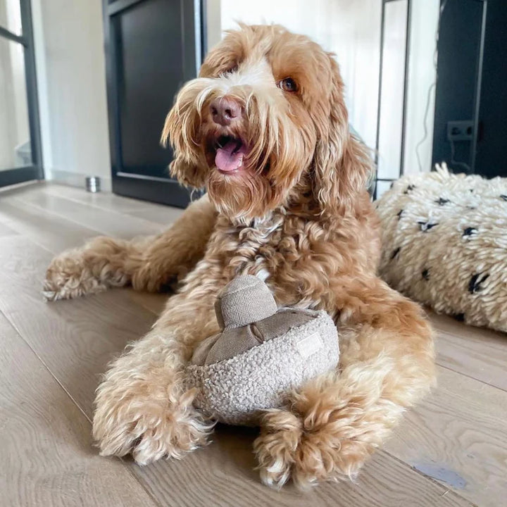 Mushroom Dog Toy