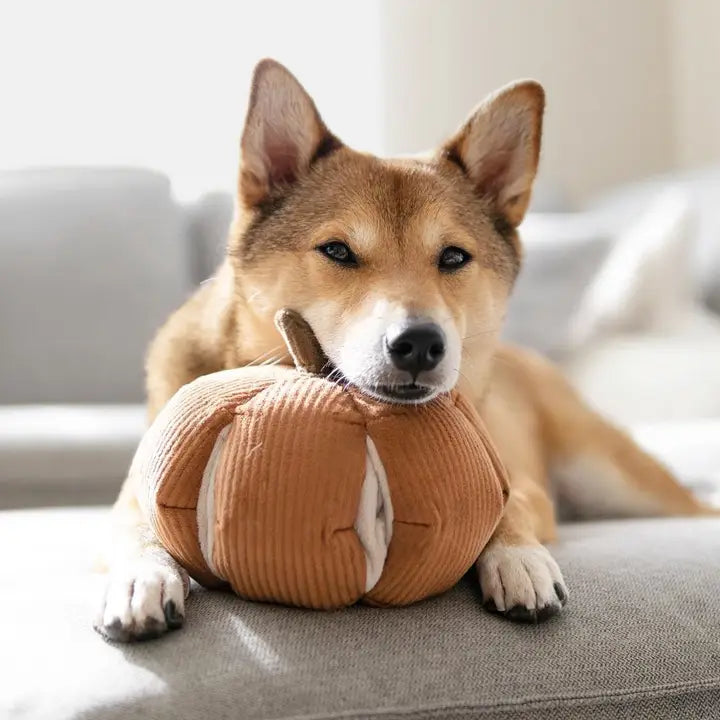 Pumpkin Halloween Dog Toy