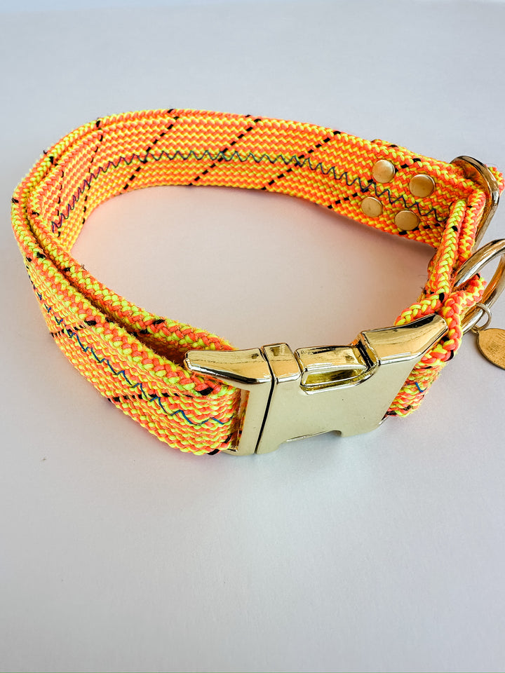 Dexter Large Dog Collar Neon Yellow & Orange