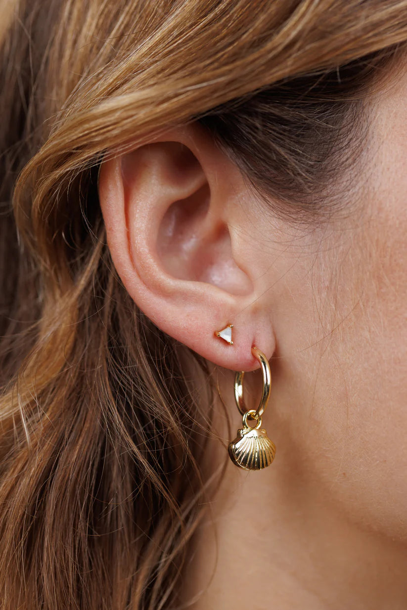 Seashell Hoop earrings