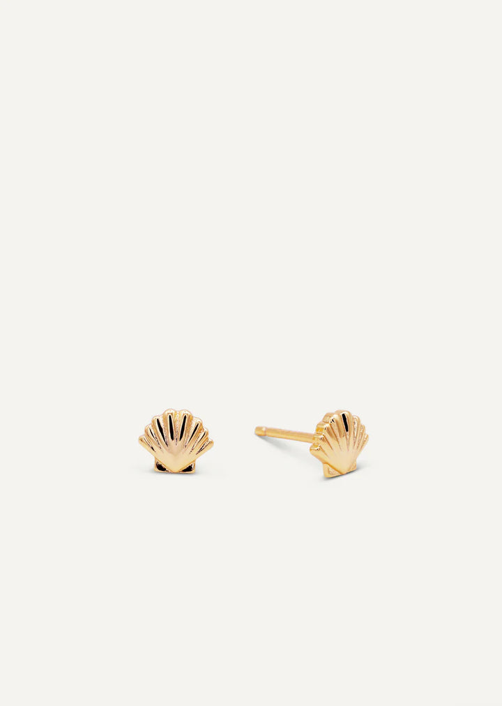 Gold Seashell Stud Earrings
