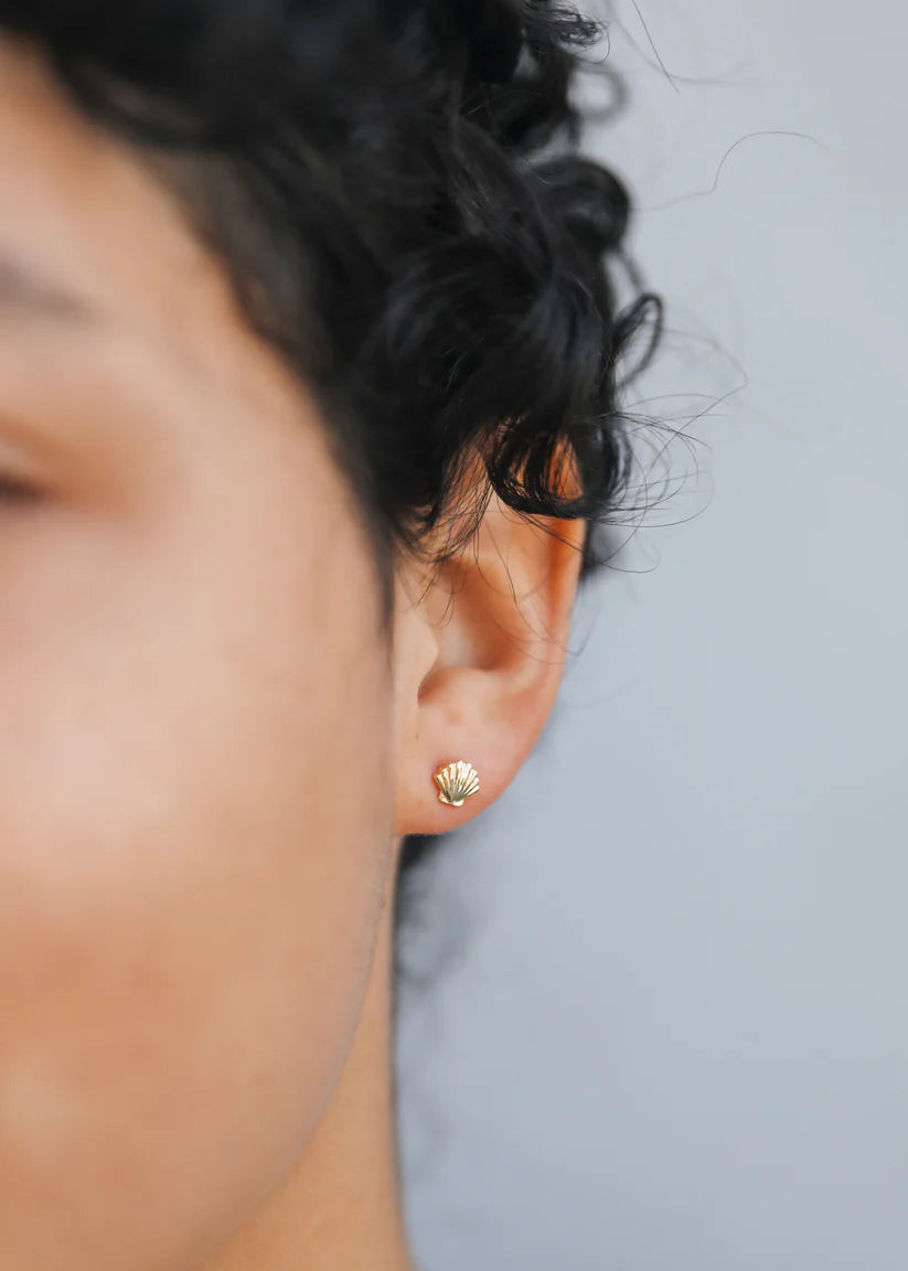 Gold Seashell Stud Earrings