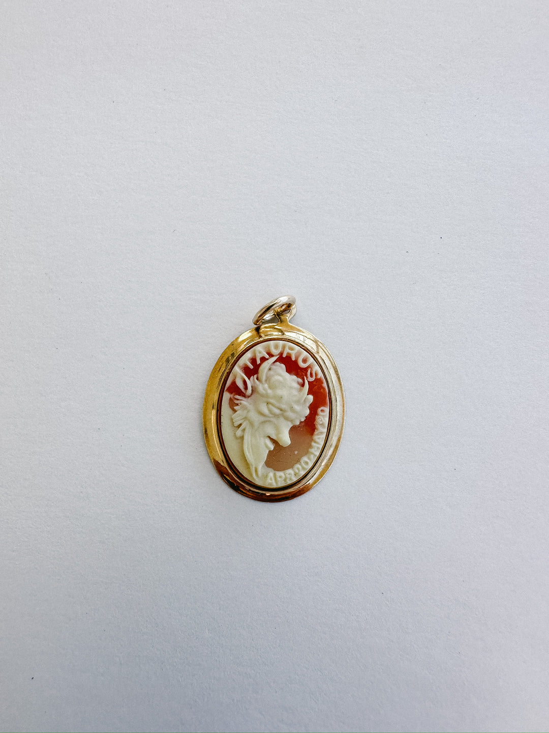 Vintage Cameo Zodiac Charms