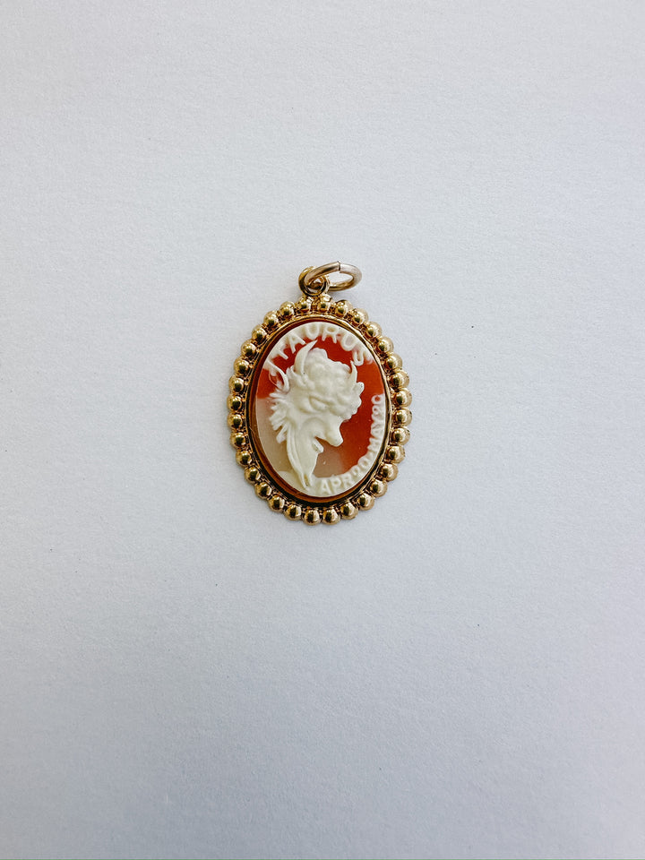 Vintage Cameo Zodiac Charms
