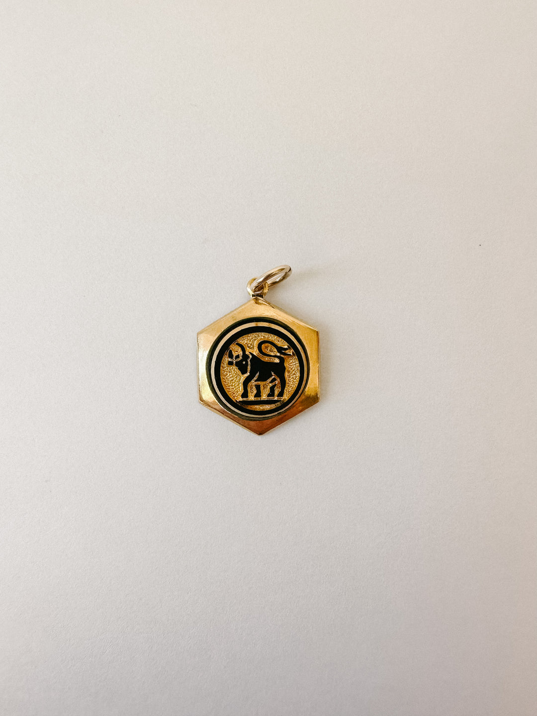 Vintage Zodiac Brass Charms